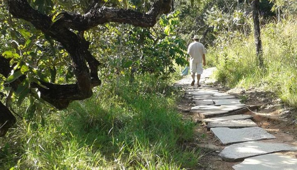 Homem caminhando em uma trilha de pedras no meio de um jardim.