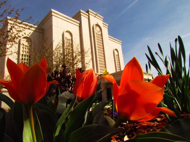templo visto de baixo para cima com flores do jardim