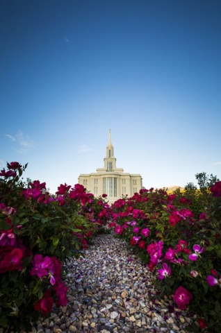 jardim do templo com um caminho de pedras com flores rosas