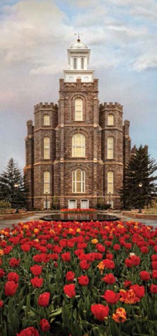 jardim do templo com rosas vermelhas e flores laranjadas