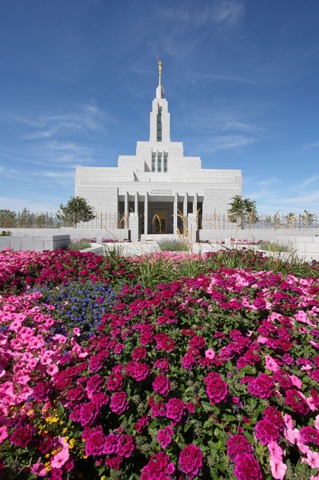jardim do templo com flores rosas em tons mais claros e escuros, roxas e amarelas