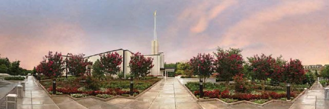 flores vermelhas no gramado e árvores do jardim do templo