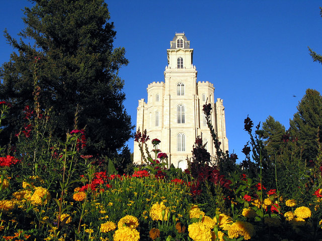 céu azul, muito verde e flores amarelas e vermelhas no jardim do templo