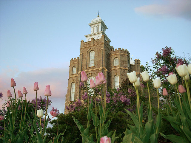 jardim do templo com flores brancas e rosa clarinho