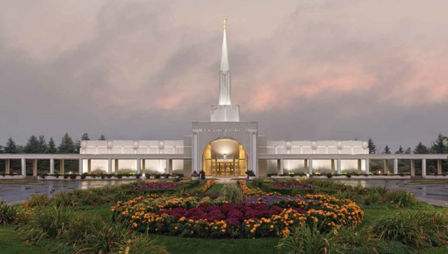 jardim com flores roxas e amarelas