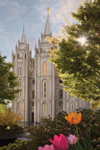 algumas flores com muita vegetação acompanham a vista para uma parte do templo