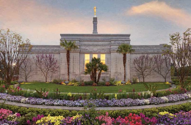 jardim do templo com flores de diversas cores