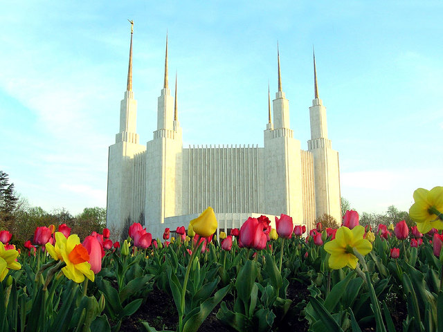 flores desabroxadas no jardim do templo