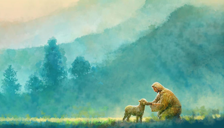 Jesus e ovelha (o amor nao julga, ajuda)