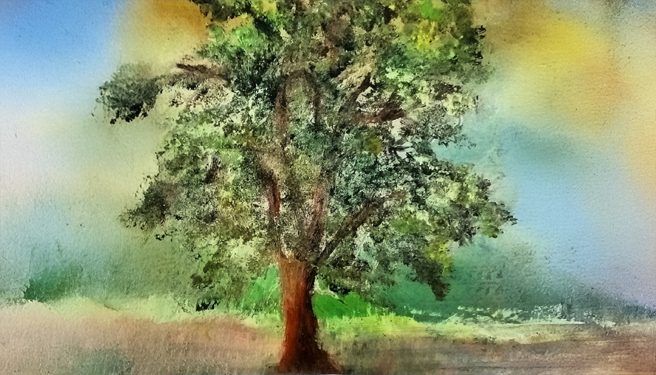 Por que Jesus Cristo amaldiçoou a figueira?