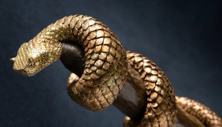 Símbolos podem se tornar ídolos?