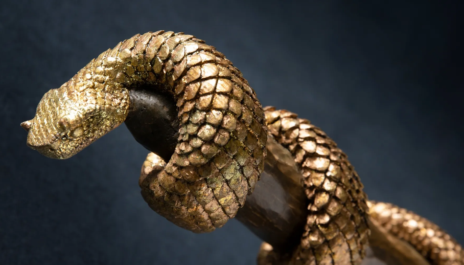 Símbolos podem se tornar ídolos?