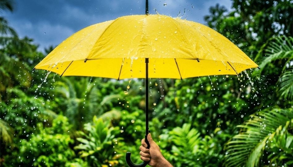 Como lidar com imprevistos: planeje o melhor e prepare-se para o pior